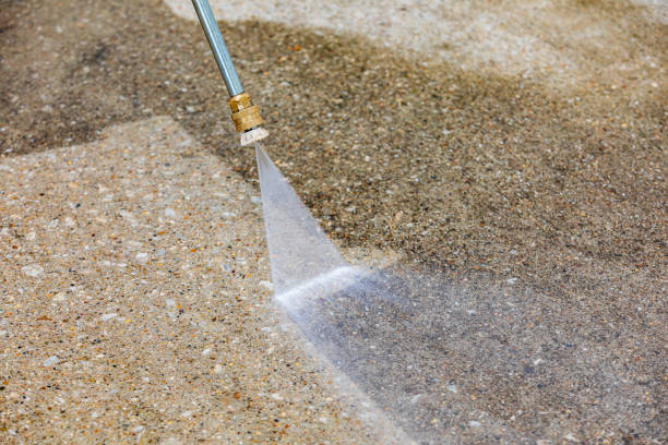 Best Dumpster Area Cleaning  in Crisfield, MD