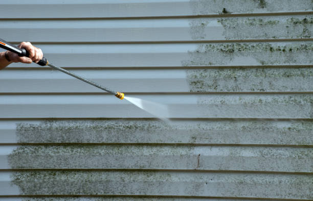Best Solar Panel Cleaning  in Crisfield, MD